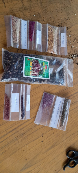 Image0004DistributionOf VegetableSeeds 