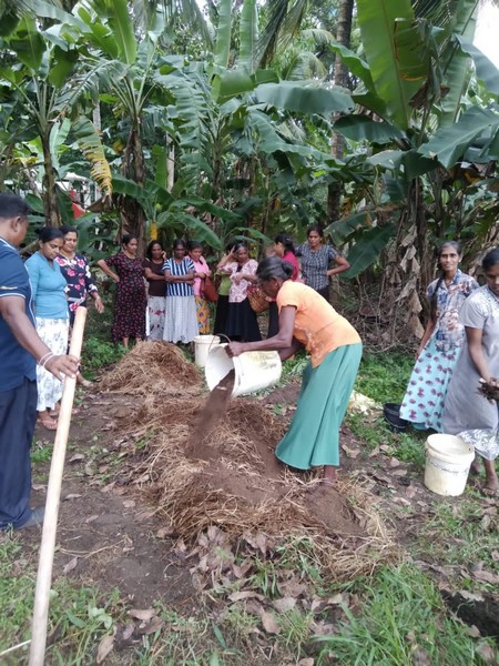 Compost Fertilizer Production 2