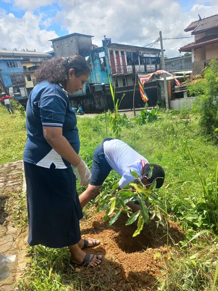 TreePlantingProgram20230923 4