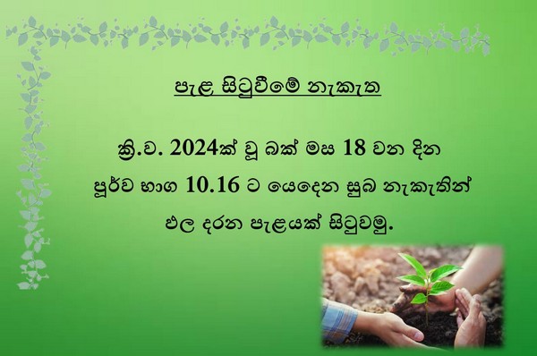 NewYearMessages 2