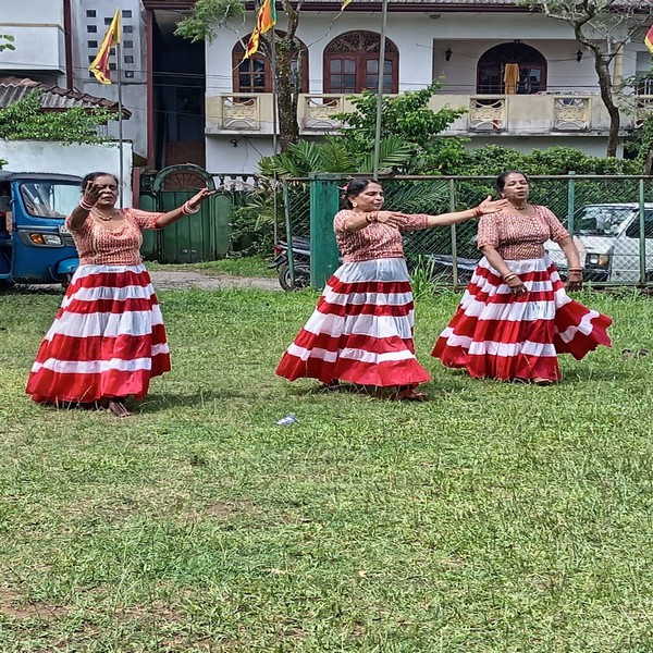 20250505eldersaurudupro 4