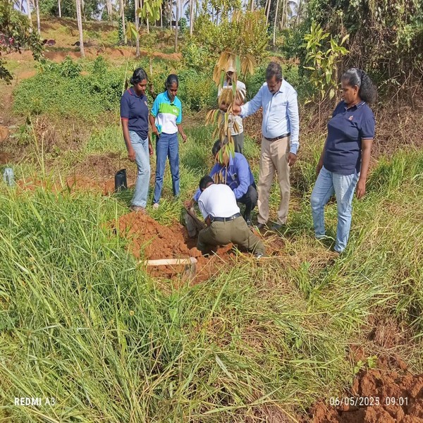 2025061treeplantingpropanaluwa
