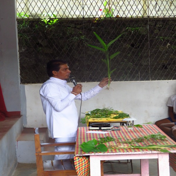 20250704medicalplantprog
