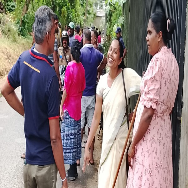20250720dengu 2