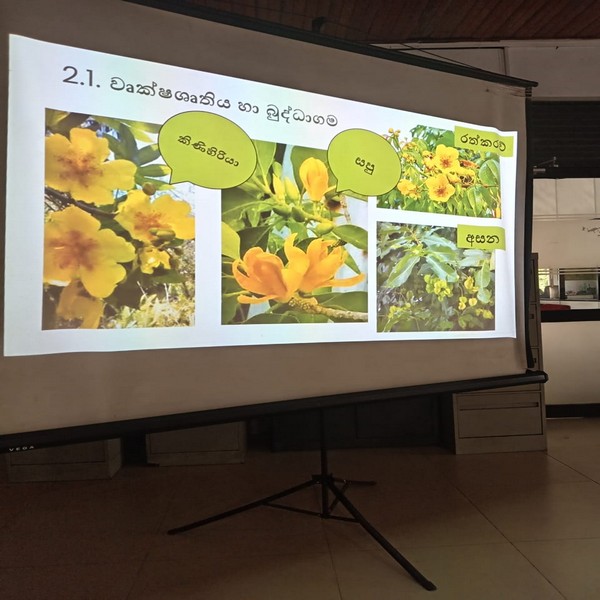 202510152plant1 3