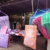 SEDMiniFair