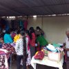SEDMiniFair