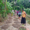Samurdhi National Cultivation Operation / Homagama- Habarakada South (2022-07-07)