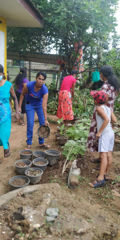 Samurdhi National Cultivation Operation / Homagama (2022-07-07)