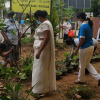 Samurdhi National Cultivation Operation / Homagama (2022-07-07)