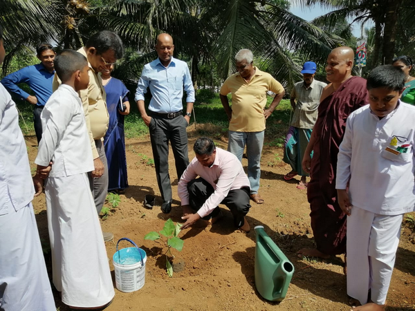 "Aharin Sapiri Kolomthotak" Cultivation War Monitoring Program / Homagama (2022-07-19)