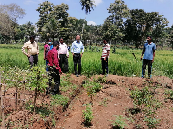 "Aharin Sapiri Kolomthotak" Cultivation War Monitoring Program / Homagama (2022-07-19)