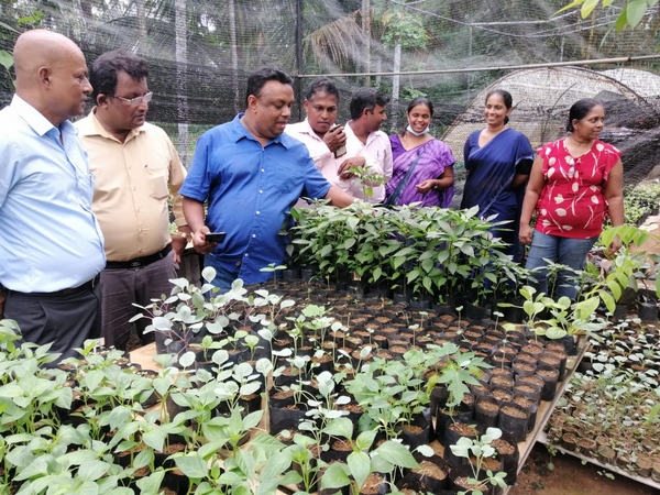 "Aharin Sapiri Kolomthotak" Cultivation War Monitoring Program / Homagama (2022-07-19)