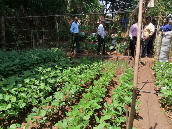 "Aharin Sapiri Kolomthotak" Cultivation War Monitoring Program / Homagama (2022-07-19)