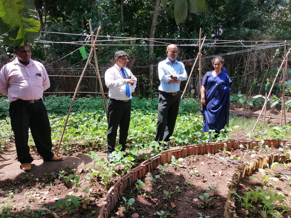 "Aharin Sapiri Kolomthotak" Cultivation War Monitoring Program / Homagama (2022-07-19)