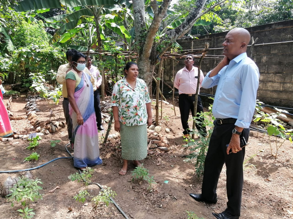 "Aharin Sapiri Kolomthotak" Cultivation War Monitoring Program / Homagama (2022-07-19)