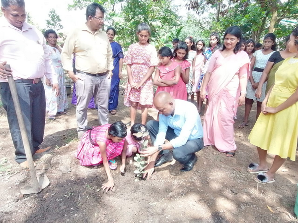 "Aharin Sapiri Kolomthotak" Cultivation War Monitoring Program / Homagama (2022-07-19)