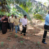 "Aharin Sapiri Kolomthotak" Cultivation War Monitoring Program / Homagama (2022-07-19)