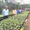 "Aharin Sapiri Kolomthotak" Cultivation War Monitoring Program / Homagama (2022-07-19)