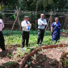 "Aharin Sapiri Kolomthotak" Cultivation War Monitoring Program / Homagama (2022-07-19)