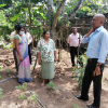 "Aharin Sapiri Kolomthotak" Cultivation War Monitoring Program / Homagama (2022-07-19)