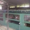 A one-day training program on "quarantine and packaging of ornamental fish" / Homagama