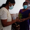 An awareness of the members of the Village Development Society regarding urban gardening / Homagama (Mathegoda East) (2022-08-18)