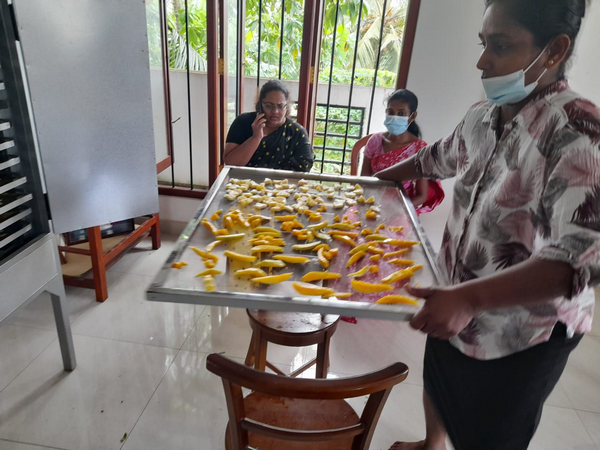 A training program on food dehydration / Homagama (Uduwana Gram Niladhari Division) (2022-09-06)