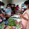 A training program on food dehydration / Homagama (Uduwana Gram Niladhari Division) (2022-09-06)