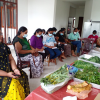 A training program on food dehydration / Homagama (Uduwana Gram Niladhari Division) (2022-09-06)