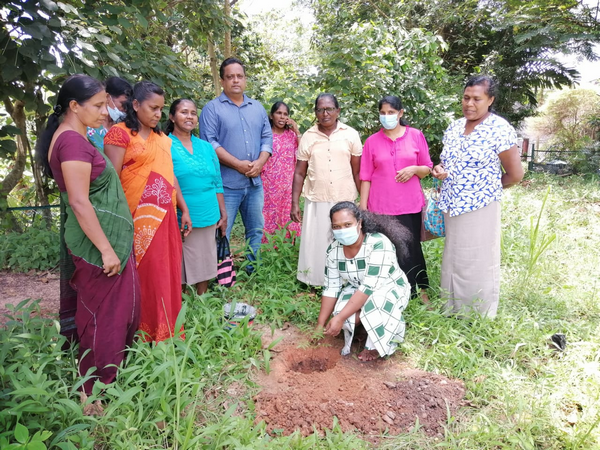 "Samurdhi Green Varna Aswadduma Matrubhumi" National Plantation Day Environment Program / Homagama (2022-09-23)