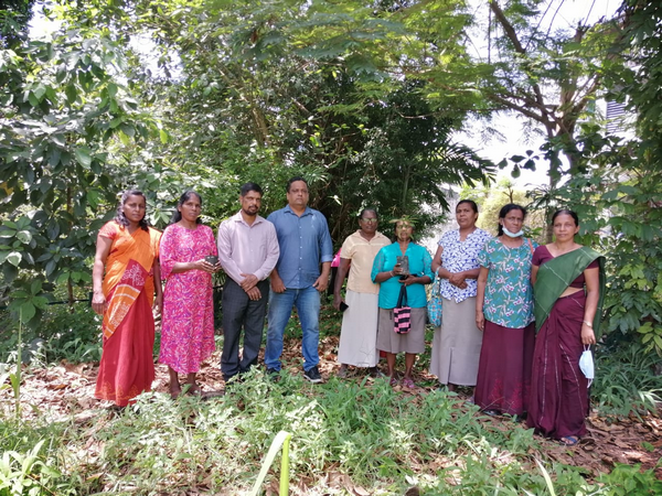 "Samurdhi Green Varna Aswadduma Matrubhumi" National Plantation Day Environment Program / Homagama (2022-09-23)