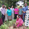 "Samurdhi Green Varna Aswadduma Matrubhumi" National Plantation Day Environment Program / Homagama (2022-09-23)