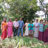 "Samurdhi Green Varna Aswadduma Matrubhumi" National Plantation Day Environment Program / Homagama (2022-09-23)