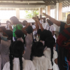 A creative ability development program for Pitipana Junior College students / Homagama (2022)