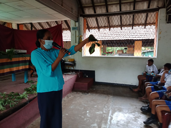 An awareness program for Grade 5 students about local plants at Homagama (2022-10-13)