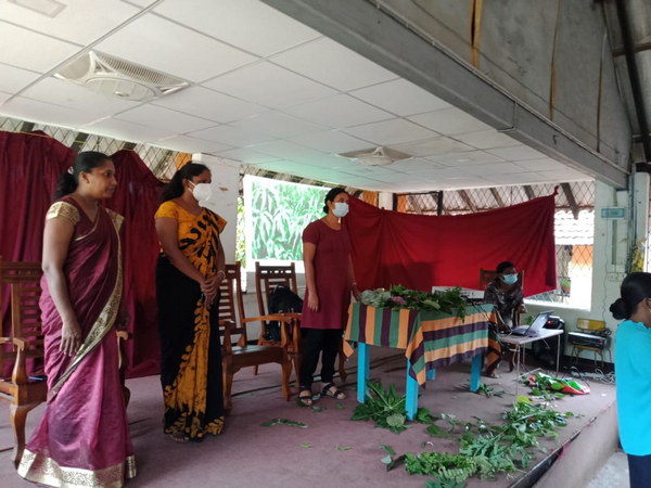 An awareness program for Grade 5 students about local plants at Homagama (2022-10-13)