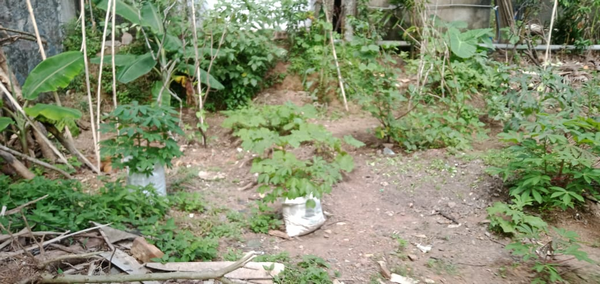 Homagama Diyagama East "Savimat" Children's Social Children's Home Inspection