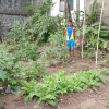 Homagama Diyagama East "Savimat" Children's Social Children's Home Inspection