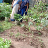 Homagama Diyagama East "Savimat" Children's Social Children's Home Inspection