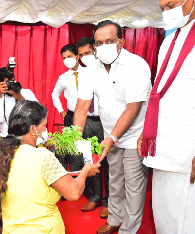 " හරිත දැයක් " ජාතික ගෙවතු වගා  සංග්‍රාමය - 2022 (2022-03-29)
