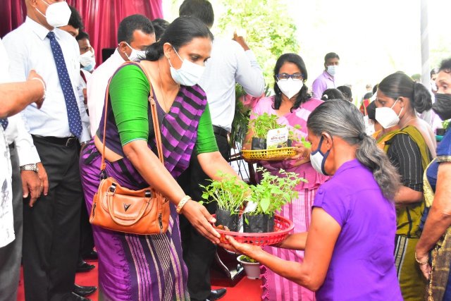 " හරිත දැයක් " ජාතික ගෙවතු වගා  සංග්‍රාමය - 2022 (2022-03-29)