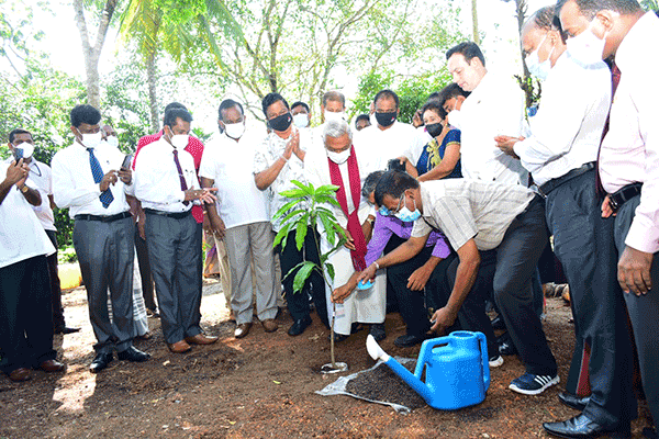 " හරිත දැයක් " ජාතික ගෙවතු වගා  සංග්‍රාමය - 2022 (2022-03-29)