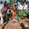 " හරිත දැයක් " ජාතික ගෙවතු වගා  සංග්‍රාමය - 2022 (2022-03-29)