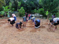 Samurdhi National Cultivation Operation / Homagama (2022-07-06)