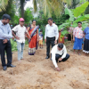 Samurdhi National Cultivation Operation / Homagama (2022-07-06)