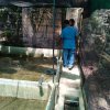 A dengue control program in Wataraka South village (2023-01-07)