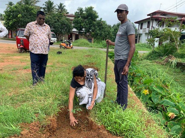 A tree planting program in Homagama (2023-06-22)