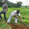 A tree planting program in Homagama (2023-06-22)