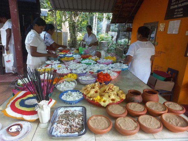 Setpatha Bodhi Pujamaya Pinkam to Senior Citizens at Homagama (2023-08-23)